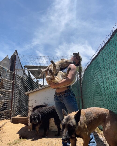 448081043530ebed9c8fae2f29