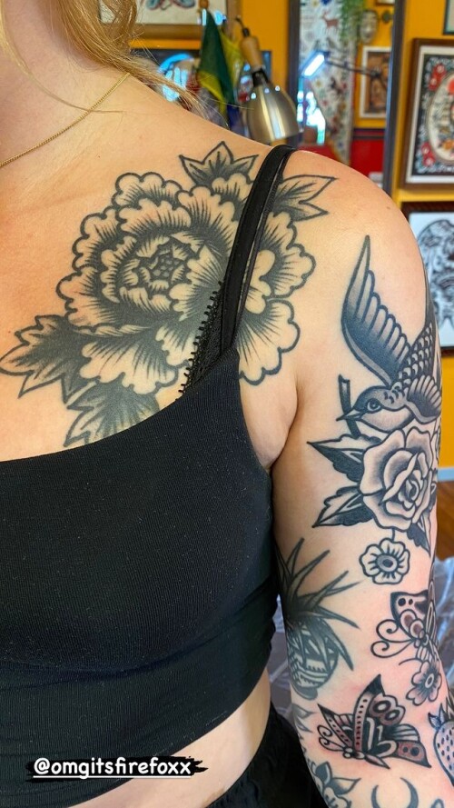 448305113 790693809796585 7873588829077483931 ned0d575d1edc5677