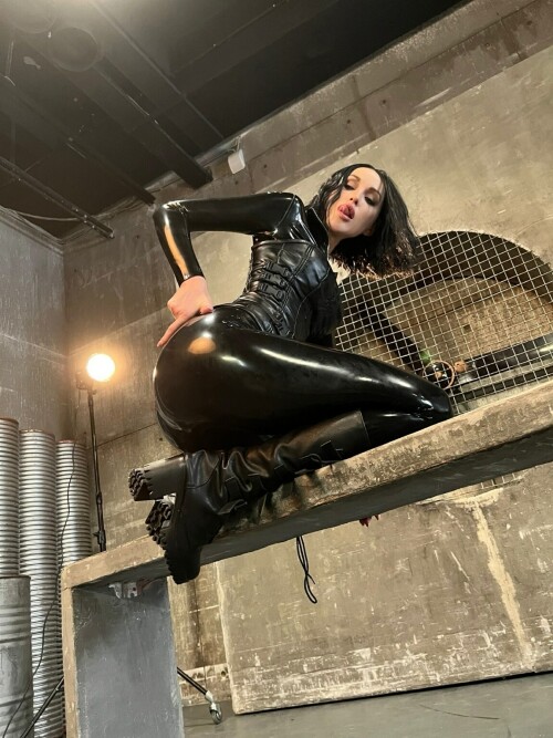 44e7fd42 0237 420e a461 efccc66b4442dc9deca97cc77af7