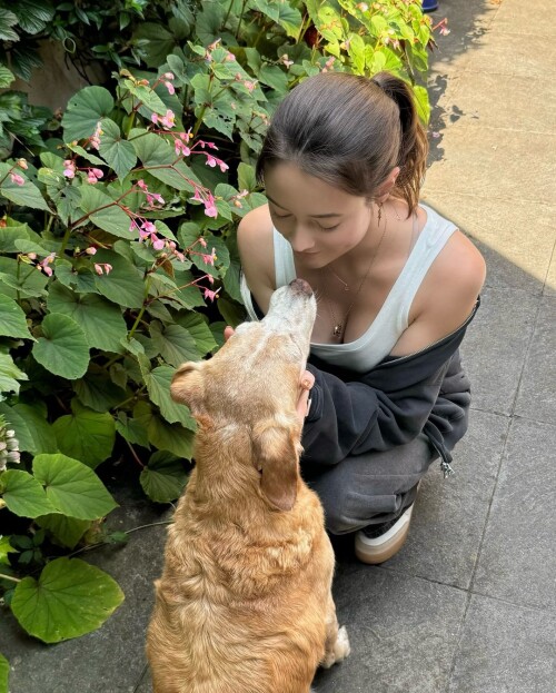 454104155 528222732976438 9126092022840777003 n1ff86610580a43a8