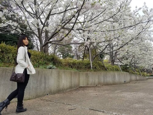 457 JmQK1fE1ceae8701d68e208