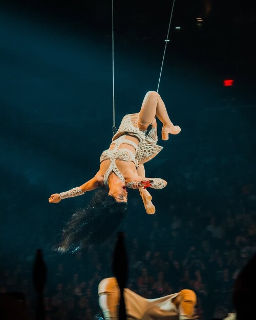 457 5bdabe30819de56a0