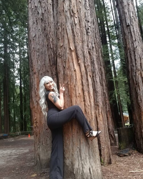 459 FC0QHSv00ed206515b965ab