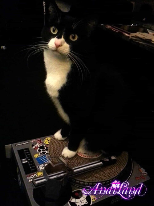 460 01 lg69ae18892be0551c