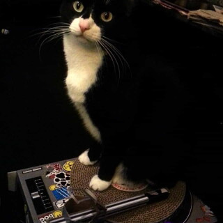 460-01-lgec0186834298c57e