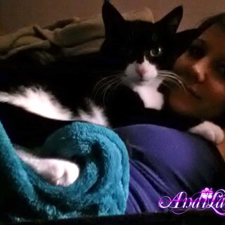 460-27-lgb828be29fb3e21cc