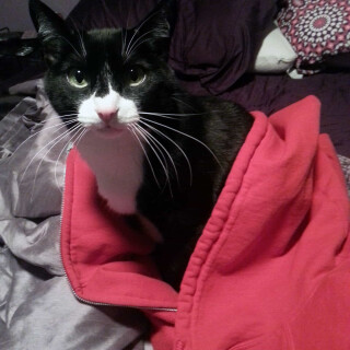 460-32-lg7808de0d809c2a19