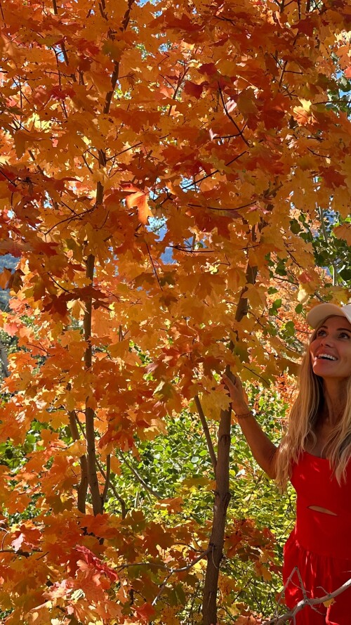 461253643 18463219336017421 41245700760129795 n18dea06fc9e0e02e