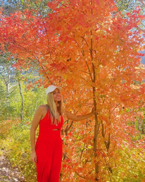 461327831_18302376586162087_42578875697846785_n0815fb8415d1477a