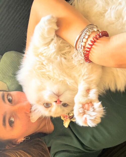 462280757 1583145978942626 3703595379889496433 n7f4f503e75e59aff