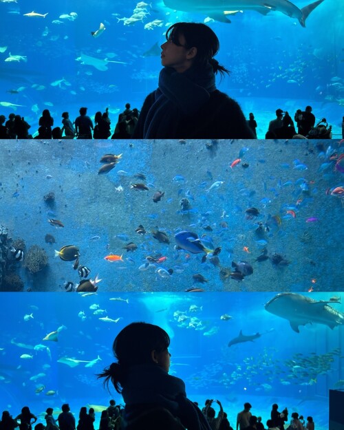 470917558 474739008589597 8381268394011862904 nba3d8c347e4979ea