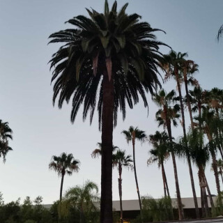 477-14-lgc8b5117582d19953