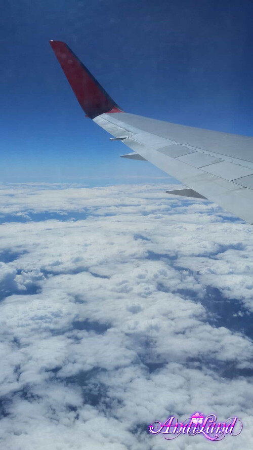 477 82 lg439ead7039659564