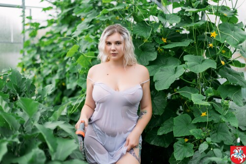 4783cb06 b131 45ec a942 59c97ba319102e70ab9cc941441f