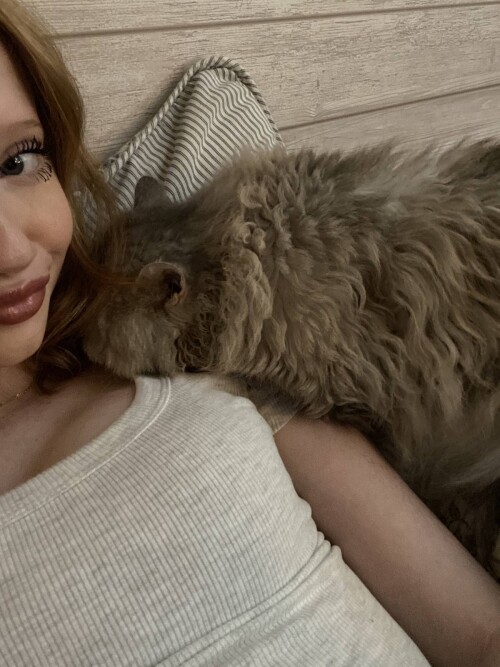 47b5a1f62a104a5dbd0e842f5874ef8btplv photomode 2k shrink v1 1200 0 q70.jpeg84eb54ec0b3907e7