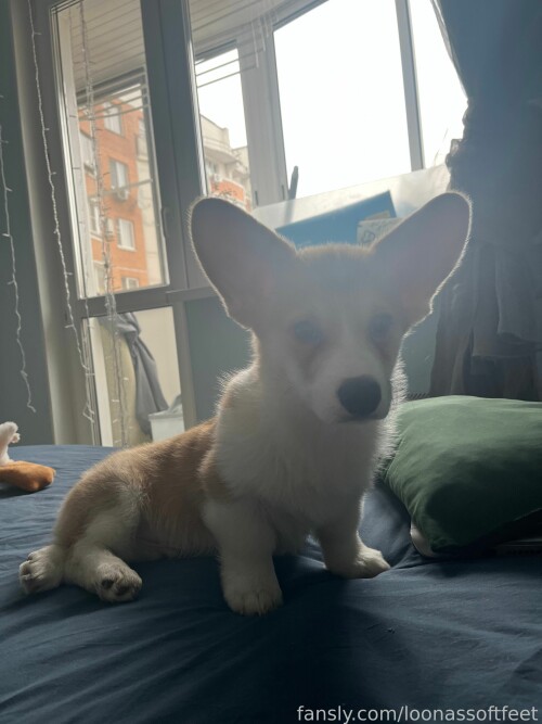 4807893287383982082a301baea821cf98