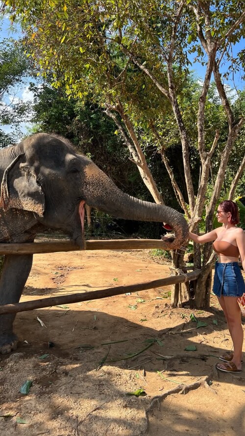 481134027 17987437277795138 7753573727696634472 n2856e3a46da1fc0c