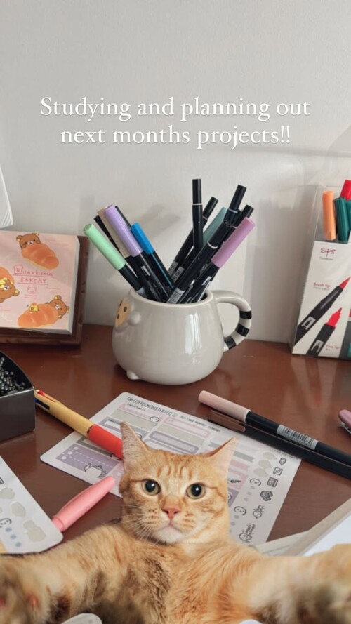 481419447 17899387083103679 7795084878728762728 n7e376d8ab3fee67f