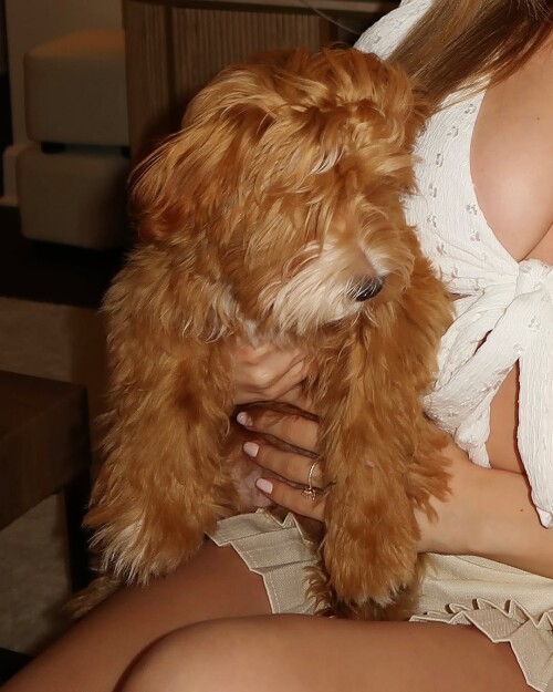 481421982 18487996120058187 8380765473335436083 nbb4496e4302669ed