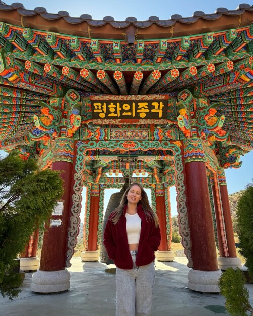 484619769 18490152934031177 1056359918261228351 n2fb71249ad37b64a