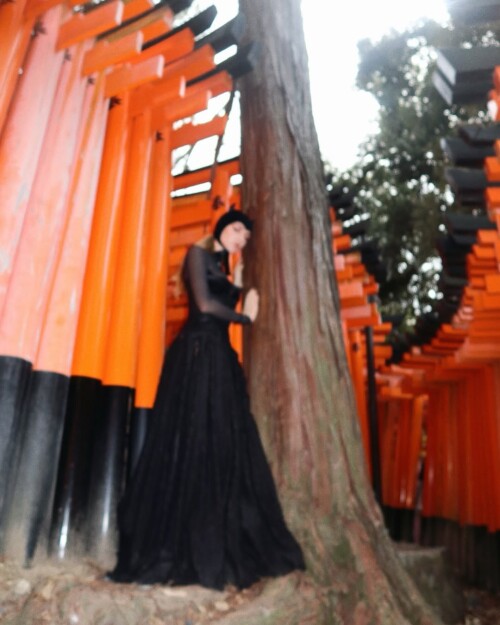 486206331 17961260390877931 6217195616034227303 nbf4202e2f884ba37