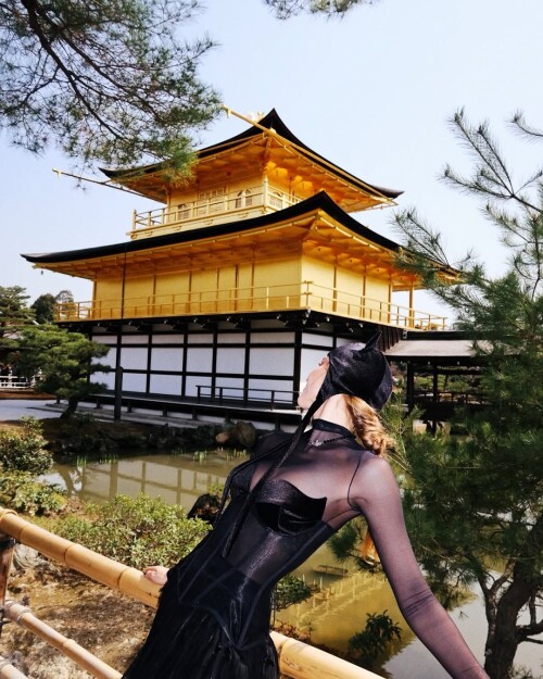 486941815 17961260420877931 18006189071890871 nfe5231a3a30105b8