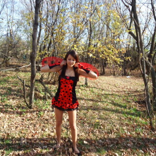 49-03-lg0bd4471938ebd049