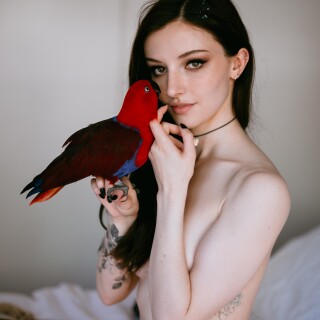 490b50ea8672d92bd67d42ee7e6fa4c6d8