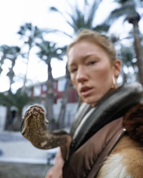 491442186 18052124816518573 4872877659086681004 n86523902ca1b27bf