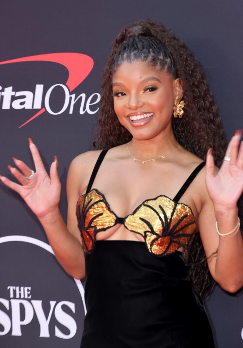 491574815 halle bailey 906a73552116fb765
