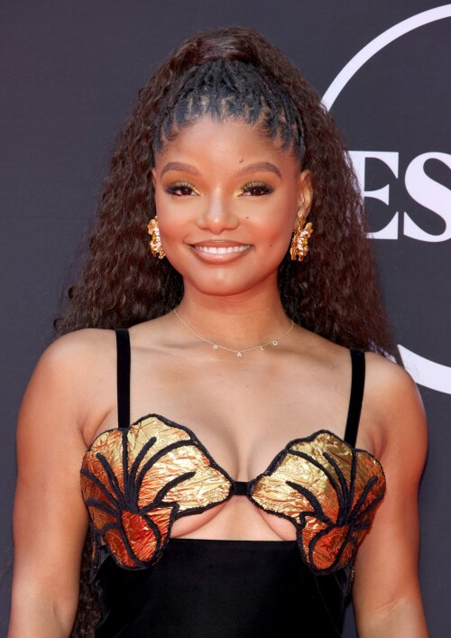 491574922 halle bailey 10fc5ada78deea1bf4
