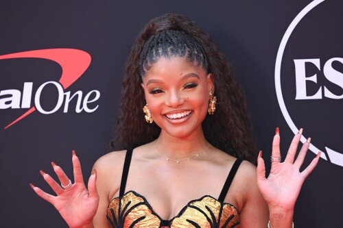 491576454 halle bailey 3318b74da72fb78b77
