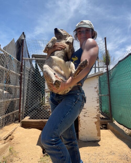 49463 52f1ec94ae062d81ce