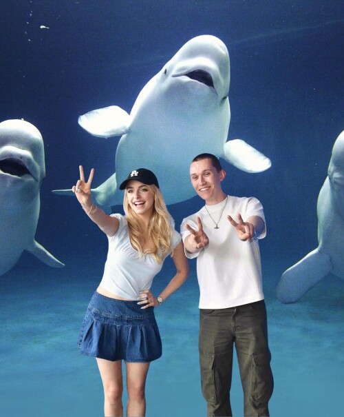 495424517 18506153944011614 5264951979549103514 n2ffa383a4caf2b6d