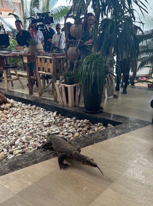 4961468545e2e5f3a351783e2