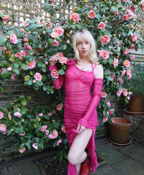 497A0F8E 0F28 4E1E 9E45 B60B2104D231