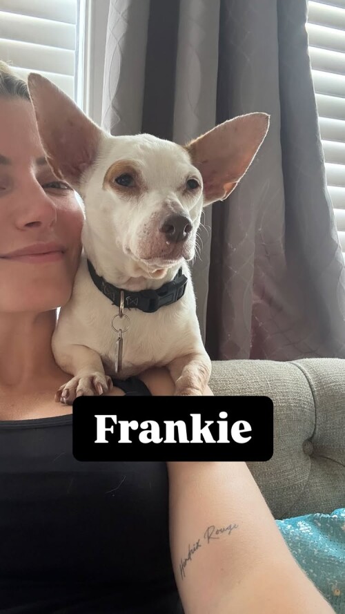 498533853 18501611581033855 2378780770384560180 n9a3e559ab09d9a17