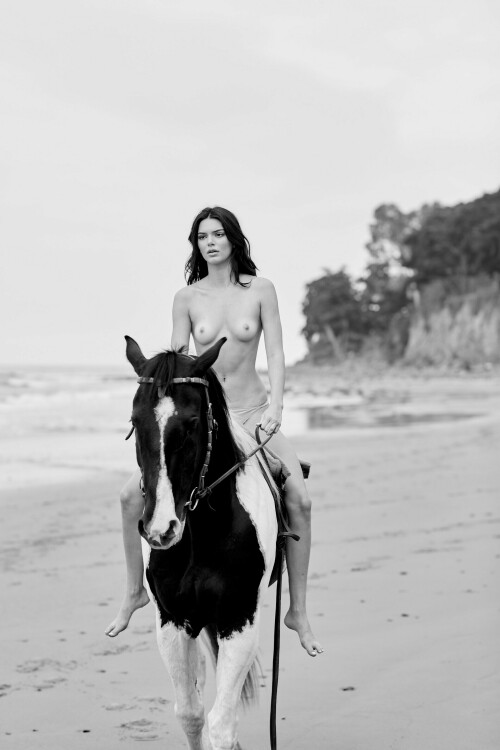 4C63DB06 44D7 4A62 839C 95898B376712