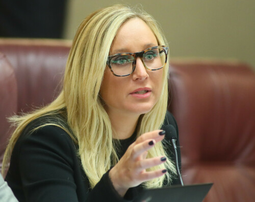 Sen. Lauren Book, D-Plantation, asks a question during the Senate's Committee on Rules Friday, April 28, 2017 at the Capitol in Tallahassee, Fla. (Photo by Phil Sears)