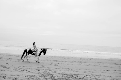 4D91C7F6 DB6C 4F1A 8AF0 974BA5FE76A0