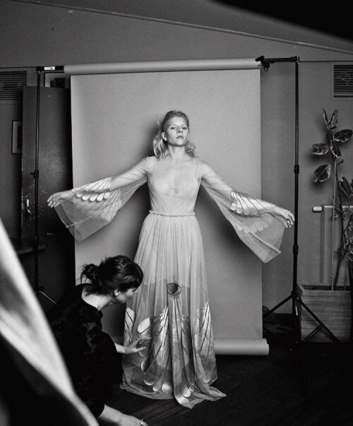 4l9npgfk6zeb136e7b65b19831744