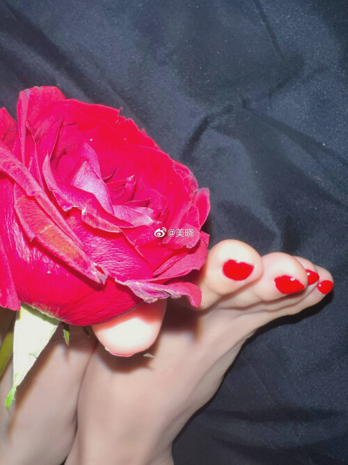 4zjfu2o7zej3gh5rc789canccbd2b6b7c6ef58713