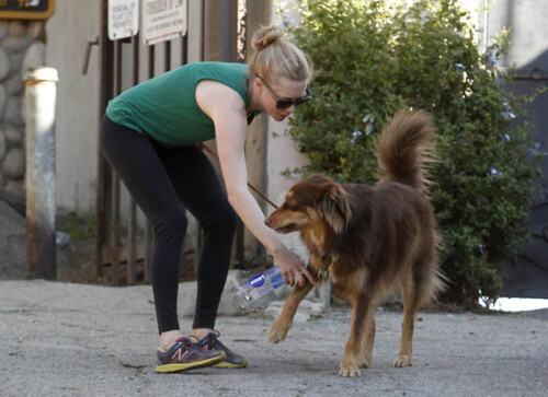 5 Ko5fYa8238e5b69bb19d8