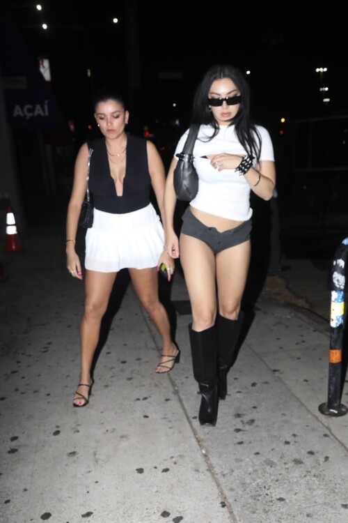 500886428_1-21392538d14bad2c49