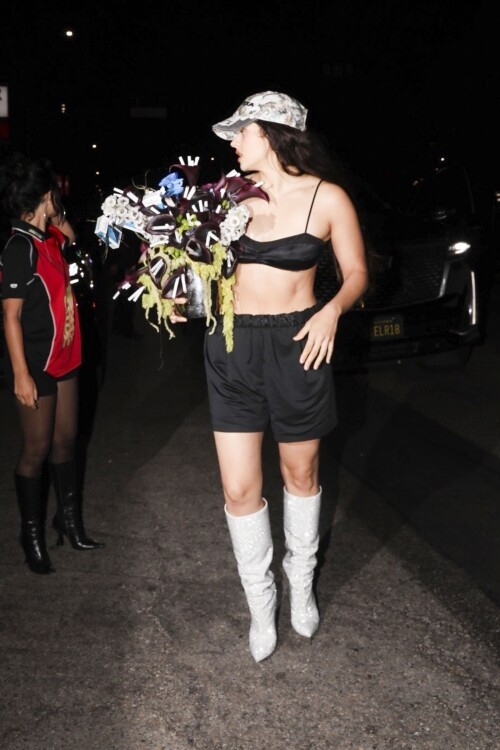 500886672_1-41e440475565c5b4a2