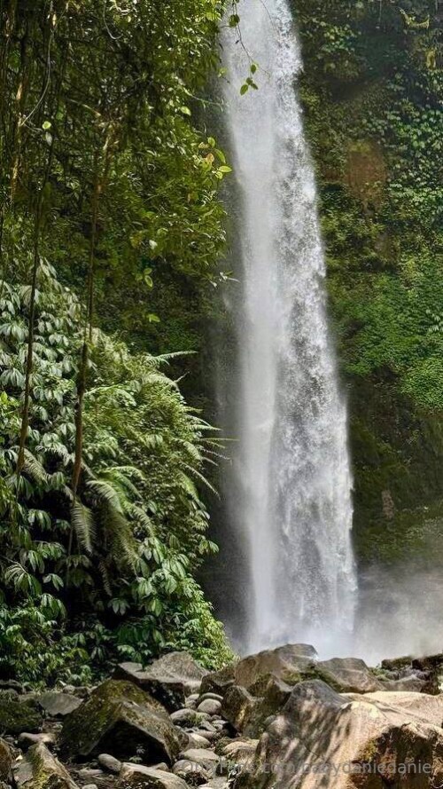 502x893 c4220c56d860fa13e8163f081788d8f0f3a3b8f174c510a5