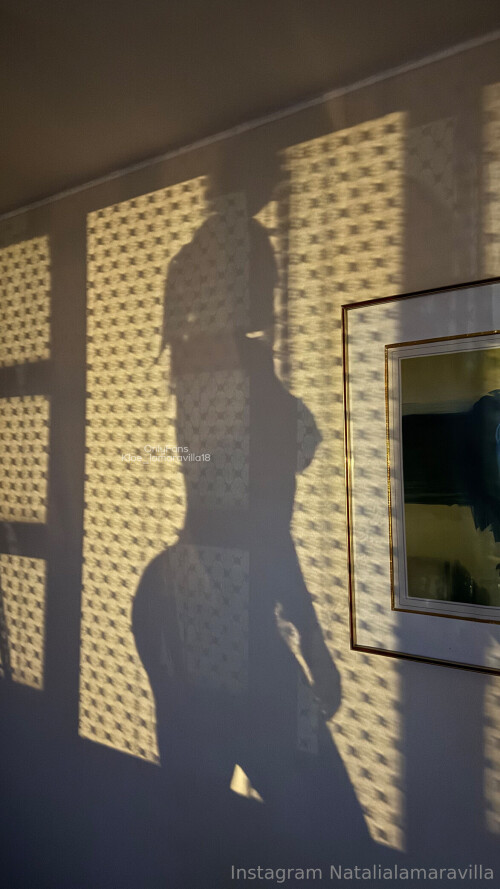 5034035181a07a702779c84