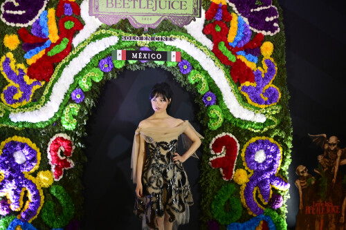 504390034 jenna 31e9d52cb065636eaa