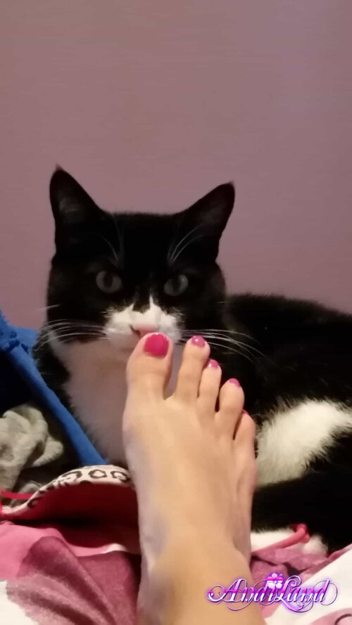 505 05 lgcdf5d57d668a1676