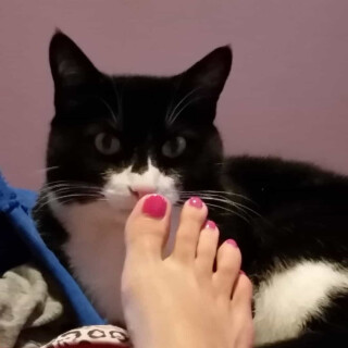 505-05-lgcdf5d57d668a1676